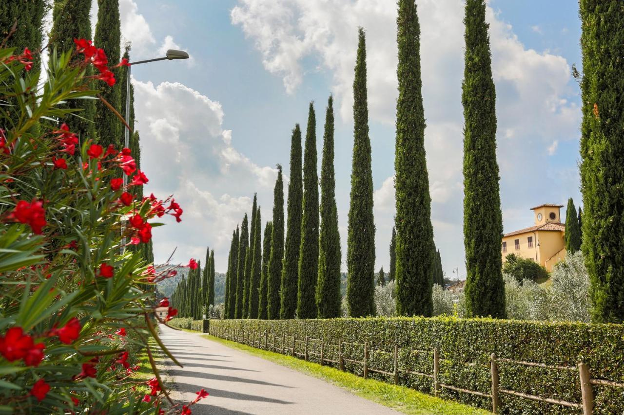 Villa Ligustro Riparbella Eksteriør billede